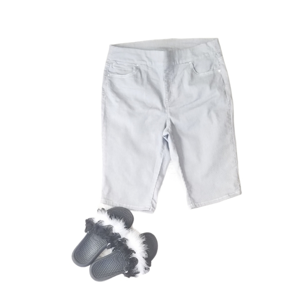 WESTBOUND  STRIPED BURMUDA SHORTS